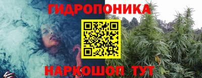 прущие крисы Будённовск