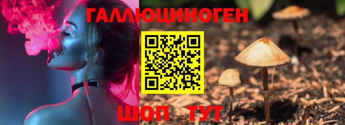 Муравленко  Псилоцибиновые грибы MAGIC MUSHROOMS  Вход с VPN 